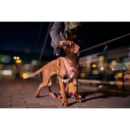 Hurtta Venture No-Pull húzásgátló hám | korall 35-40