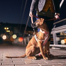 Hurtta Venture No-Pull húzásgátló hám | korall 35-40