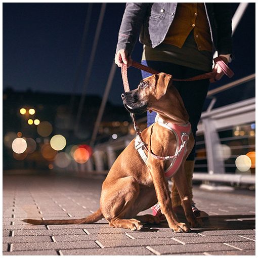 Hurtta Venture No-Pull húzásgátló hám | korall 35-40