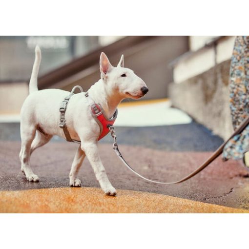 Hurtta Venture No-Pull húzásgátló hám | szürke 35-40