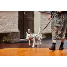 Hurtta Venture No-Pull húzásgátló hám | szürke 35-40