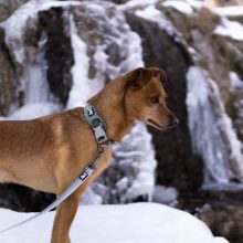 Hurtta Weekend Warrior ECO nyakörv | zöld 35-45