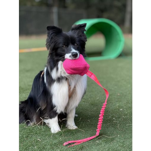 Joy in Dogs francia labda | rózsaszín