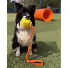 Joy in Dogs francia labda | sárga