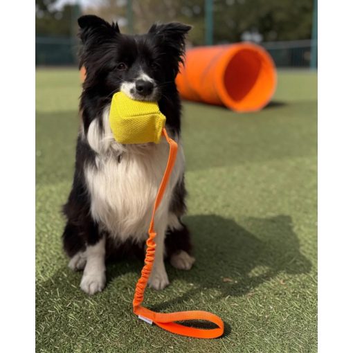 Joy in Dogs francia labda | sárga