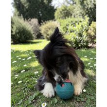 Joy in Dogs IceJoy interaktív labda és fagyikészítő tálca szett | türkiz