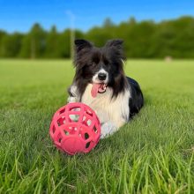 Joy in Dogs JoyBall többfunkciós labda | rózsaszín