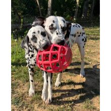 Joy in Dogs JoyBall többfunkciós labda | rózsaszín