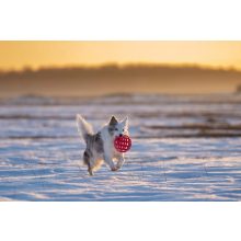 Joy in Dogs JoyBall többfunkciós labda | rózsaszín