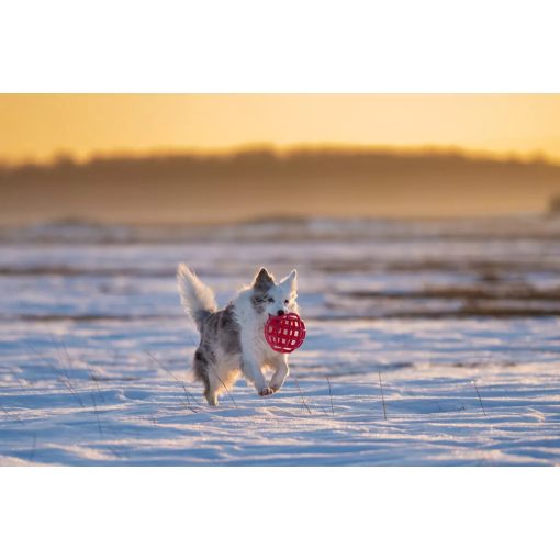 Joy in Dogs JoyBall többfunkciós labda | rózsaszín