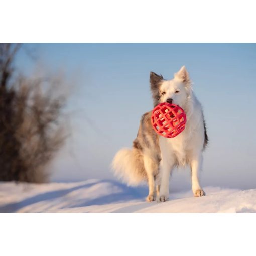 Joy in Dogs JoyBall többfunkciós labda | rózsaszín