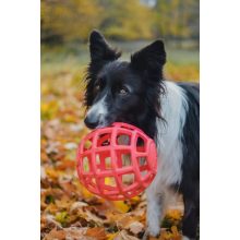 Joy in Dogs JoyBall többfunkciós labda | rózsaszín