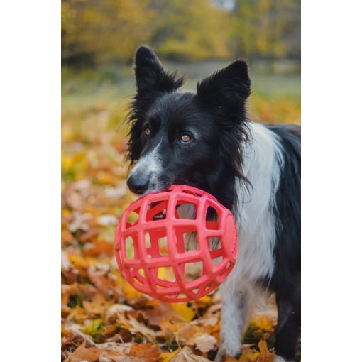 Joy in Dogs JoyBall többfunkciós labda | rózsaszín