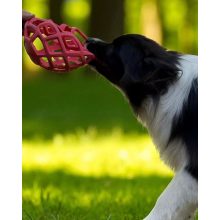 Joy in Dogs JoyBall többfunkciós labda | rózsaszín