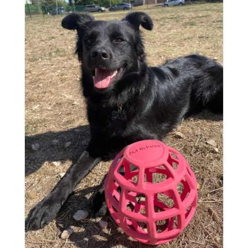 Joy in Dogs JoyBall többfunkciós labda | rózsaszín