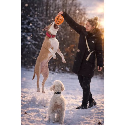 Joy in Dogs JoyBall többfunkciós labda | sárga