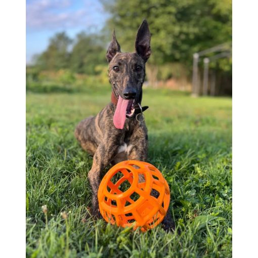 Joy in Dogs JoyBall többfunkciós labda | sárga