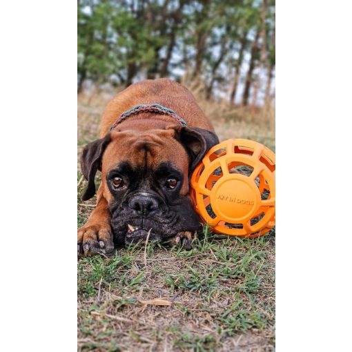 Joy in Dogs JoyBall többfunkciós labda | sárga