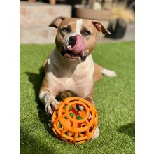 Joy in Dogs JoyBall többfunkciós labda | sárga