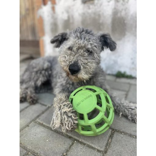 Joy in Dogs JoyBall többfunkciós labda | zöld