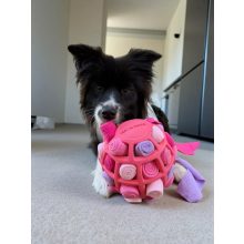 Joy in Dogs SniffJoy szimatjáték | rózsaszín