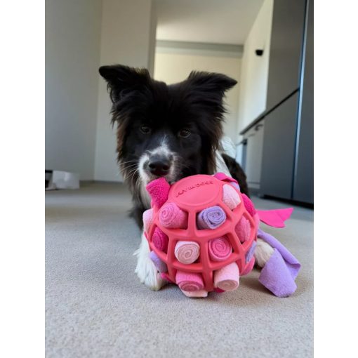 Joy in Dogs SniffJoy szimatjáték | rózsaszín