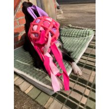 Joy in Dogs SniffJoy szimatjáték | rózsaszín