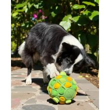 Joy in Dogs SniffJoy szimatjáték | zöld