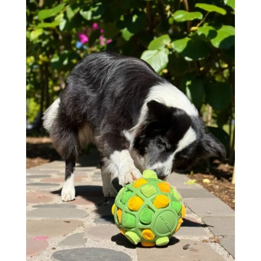 Joy in Dogs SniffJoy szimatjáték | zöld