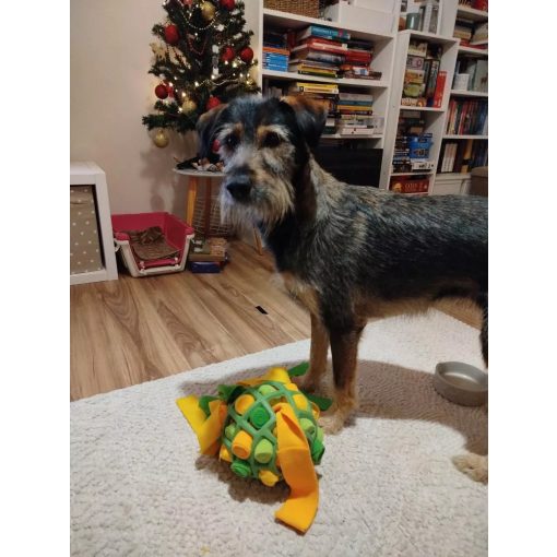 Joy in Dogs SniffJoy szimatjáték | zöld