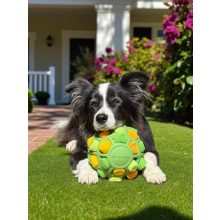 Joy in Dogs SniffJoy szimatjáték | zöld