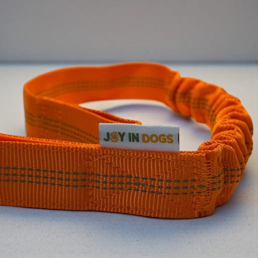 Joy in Dogs univerzális heveder | narancs