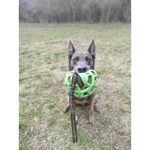 Joy in Dogs univerzális heveder | zöld