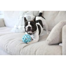 JW® Hol-ee Roller® Trend-ee - L méret