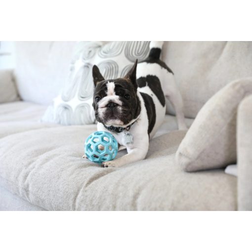 JW® Hol-ee Roller® Trend-ee - S méret