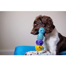 K9 Connectables® Gentle Puzzle Pack rejtvénycsomag | narancs, citrom S méret