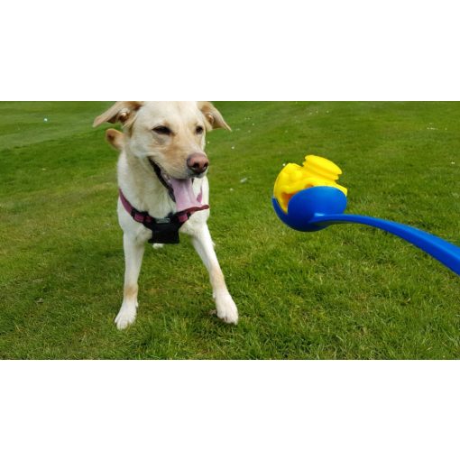 K9 Connectables® Gentle Puzzle Pack rejtvénycsomag | narancs, citrom S méret