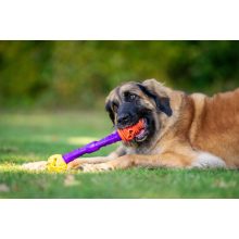 K9 Connectables® Gentle Starter Pack kezdőcsomag | narancs, citrom, lila L méret