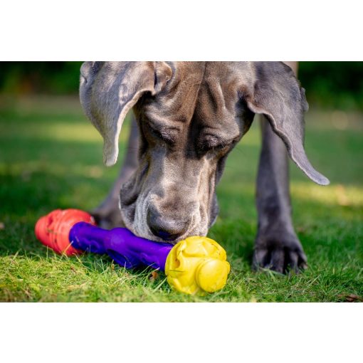 K9 Connectables® Gentle Starter Pack kezdőcsomag | narancs, citrom, lila L méret