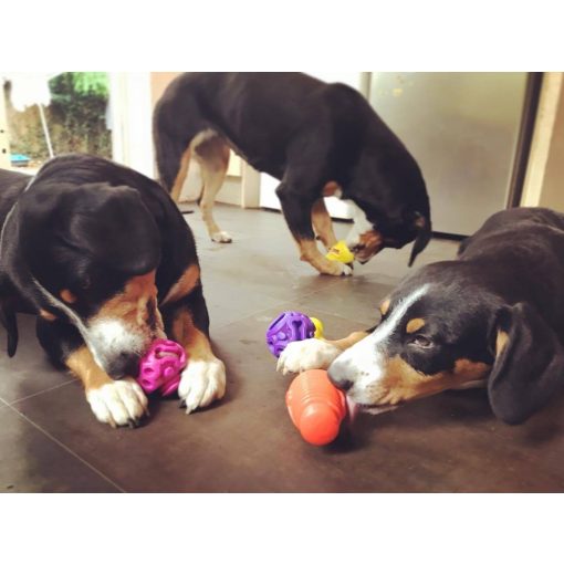 K9 Connectables® Gentle Starter Pack kezdőcsomag | narancs, citrom, lila L méret