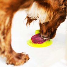 K9 Connectables® Gentle Super Sticker™ tapadókorong csomag | zöld, citrom S méret