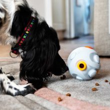 K9 Connectables® Kibble Connector™ adagoló | fehér, sárga S méret