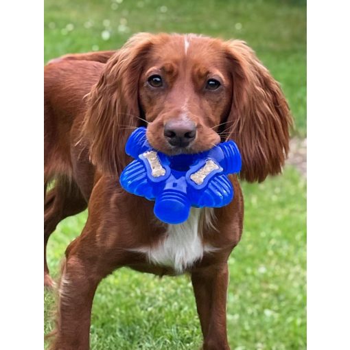 K9 Connectables® Pro Brain Teaser™ csillag | kék M méret