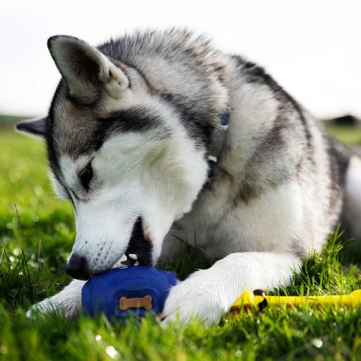 K9 Connectables® Pro Tuff Stuffer™ henger | kék S méret