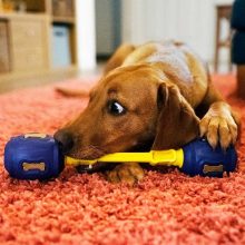 K9 Connectables® Pro Tuff Stuffer™ henger | kék S méret