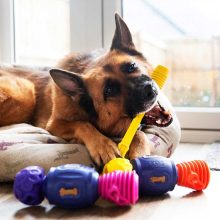 K9 Connectables® Pro Tuff Stuffer™ henger | kék S méret