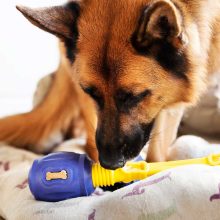 K9 Connectables® Pro Tuff Stuffer™ henger | kék S méret