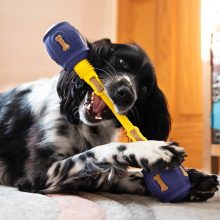K9 Connectables® Pro Yes Bone™ csont | sárga M méret
