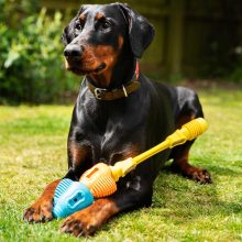 K9 Connectables® Pro Yes Bone™ csont | sárga M méret