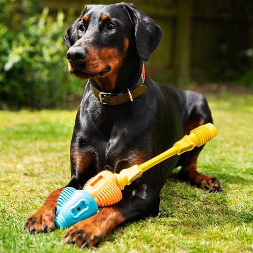 K9 Connectables® Pro Yes Bone™ csont | sárga S méret